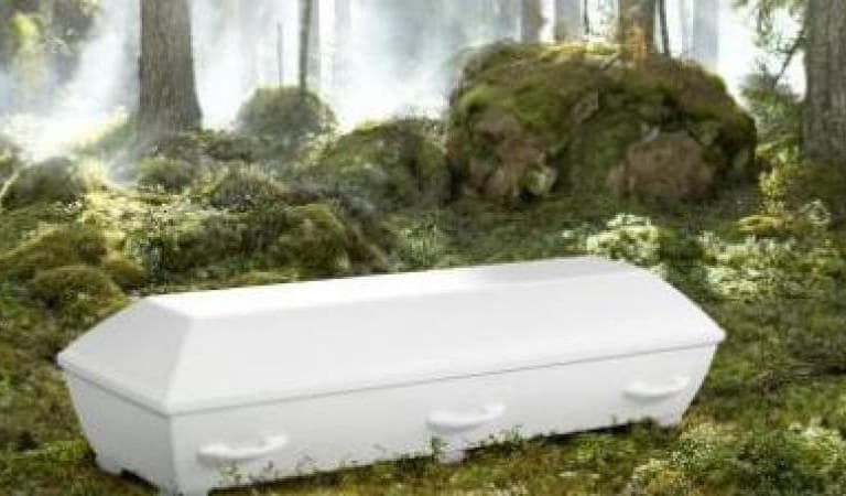 En miljövänligare begravning